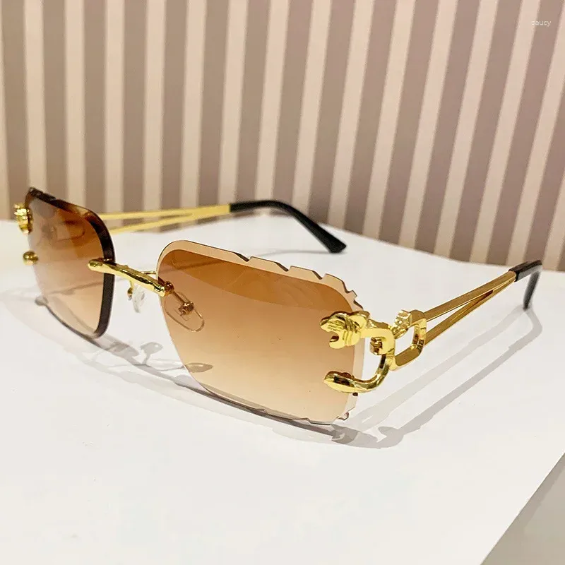 Y2K Designer Rimless Square Sunglasses for Men and Women  display picture 3