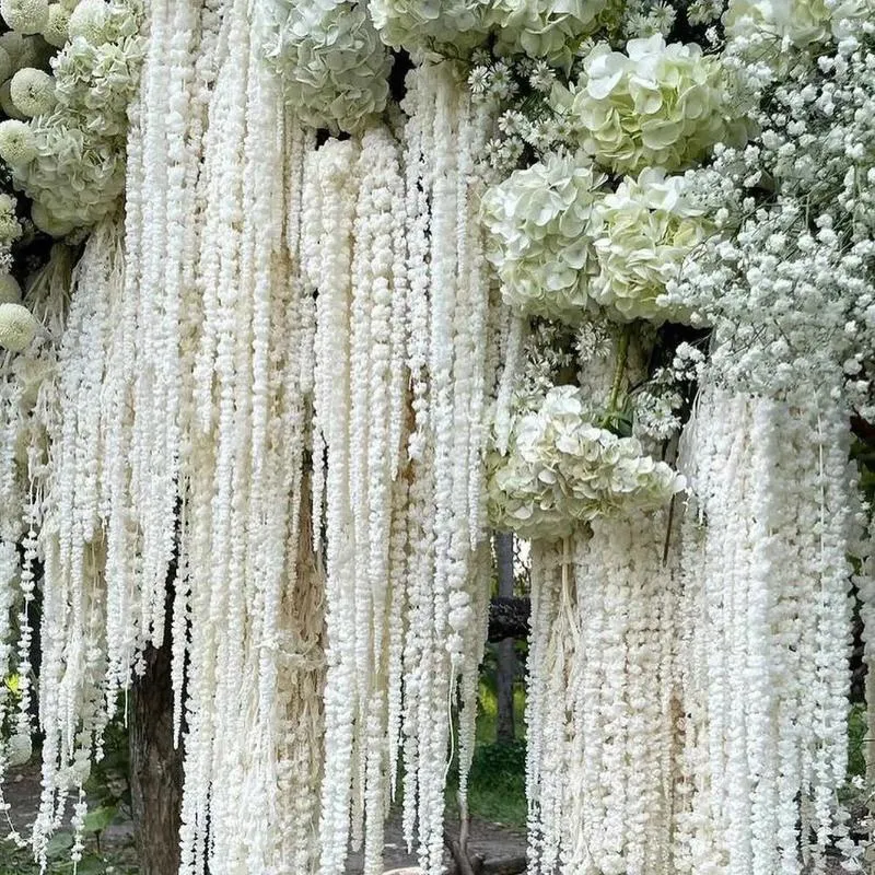 الزهور الزخرفية 5pcs باقة زهرة مجففة باقة الأزهار البيضاء ديكور الزفاف المحفوظة Amaranthu النباتات الطبيعية المعلقة للمنزل