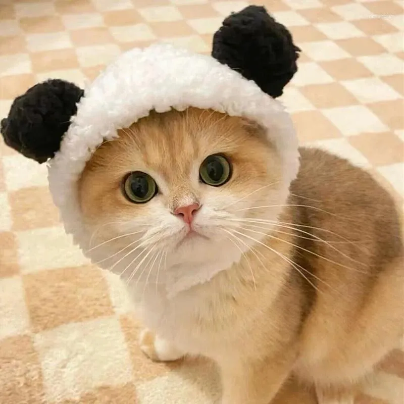 Dog Apparel Pet Hat Cat Head Cover Cute Bear Headdress Puppy Teddy Warm Quirky Cross-dressing Po Accessories