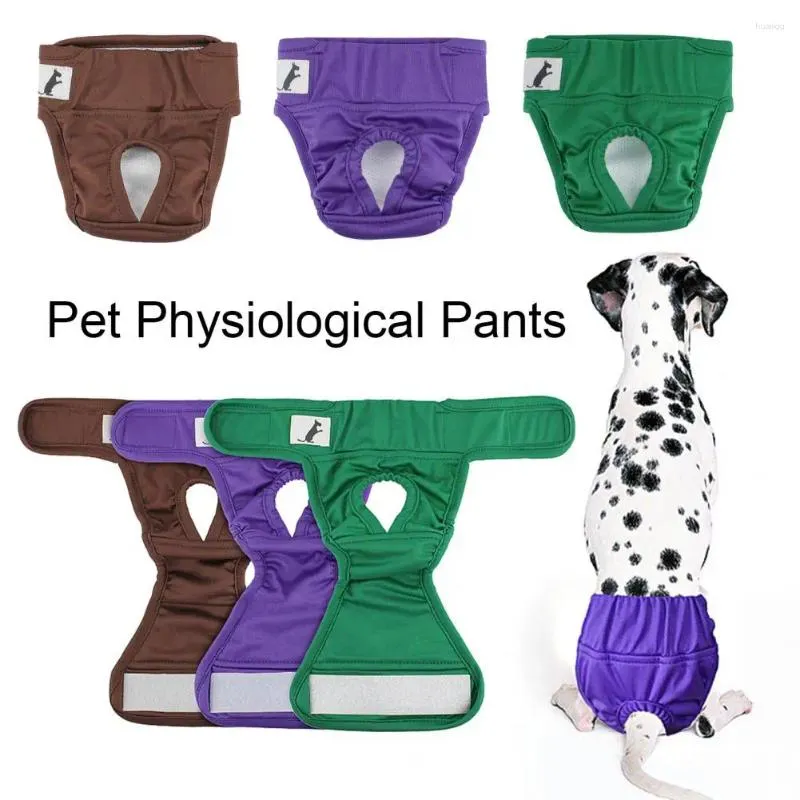 Appareils pour chiens Pantalons physiologiques Pantalon à l'épreuve des fuites pour les périodes d'incontinence Potty Training Confortable Tapisseur Finner Dogs