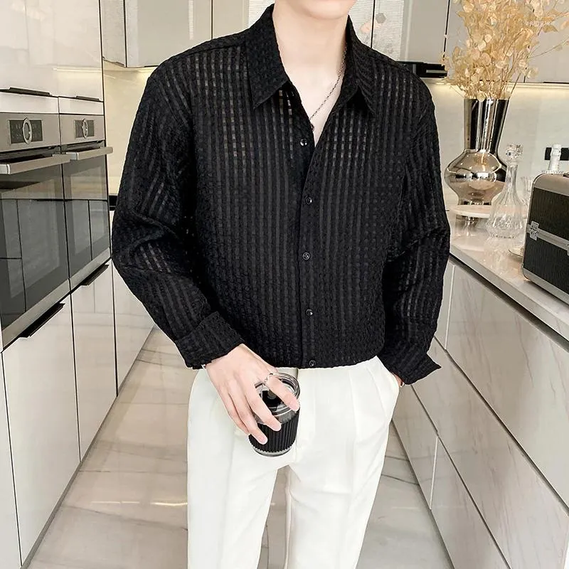 Chemises de robe masculine 2024 Summer Translucide Plaid Shirt Corée Fashion Loose Loose Casual Long Malle Tops Scarts Vêtements