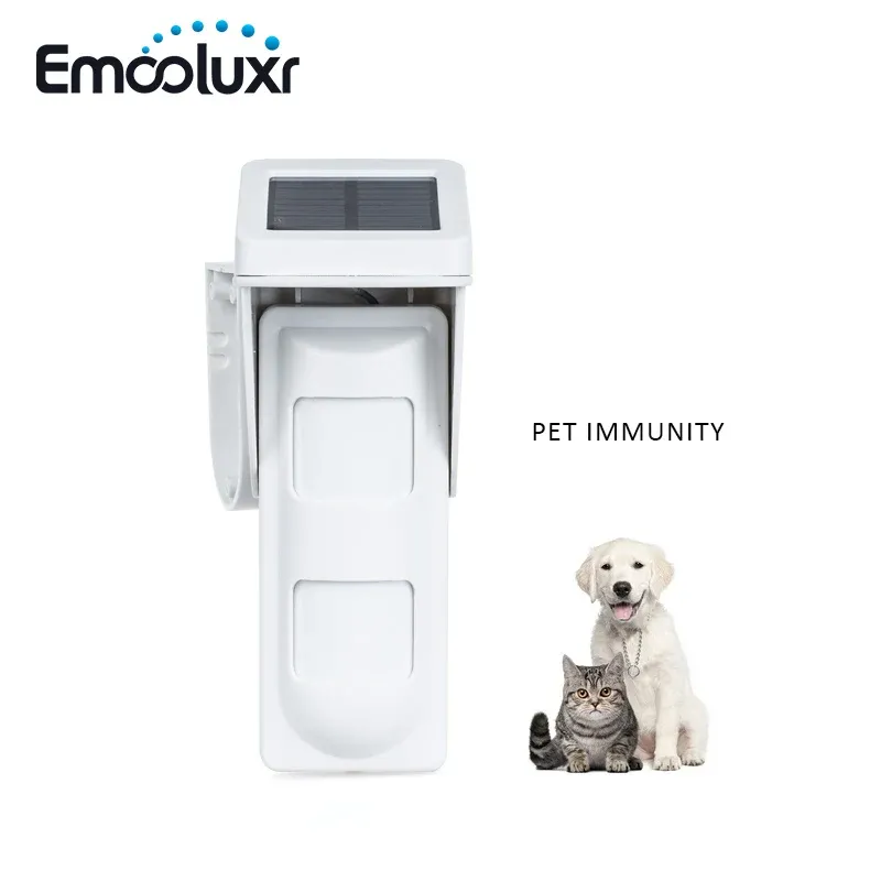 Détecteur Solaire Solar Soory Pet Friendly Motion Capteur PIR Détecteur PIR pour WiFi GSM Alarm G90B Sécurité Alarme Système Livraison gratuite