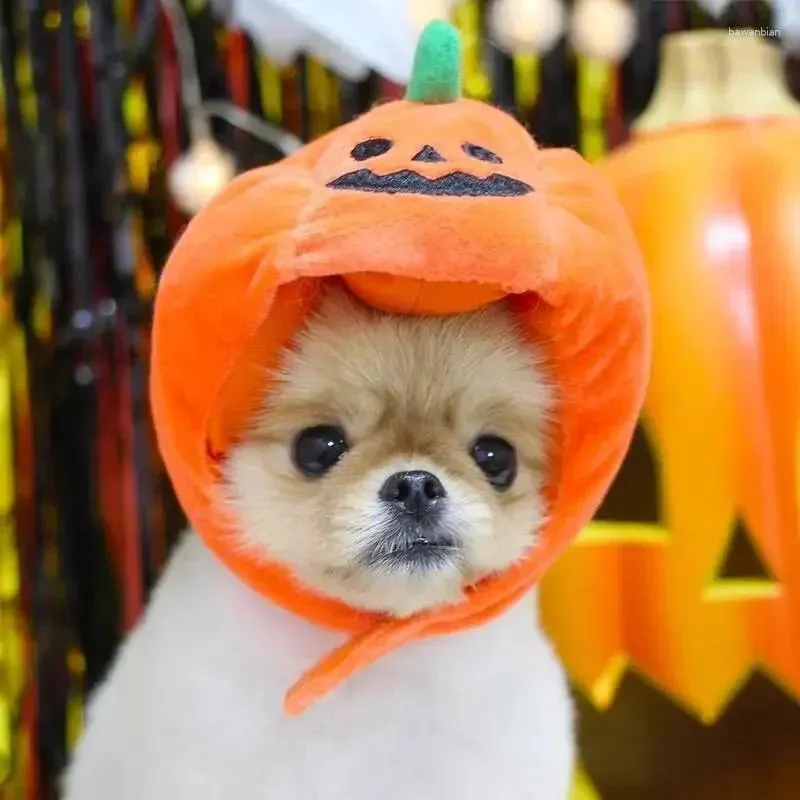 Psa odzież sombrero de calabaza para perro y gato turbante navidad pascua tocado halloween mascotas suministros cachor