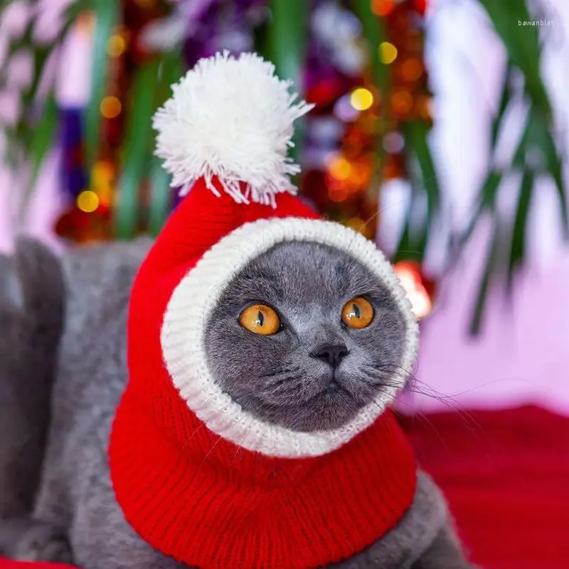 Appareils pour chiens Année Pet Chatte chaud Red Christmas Cat Couchette à main