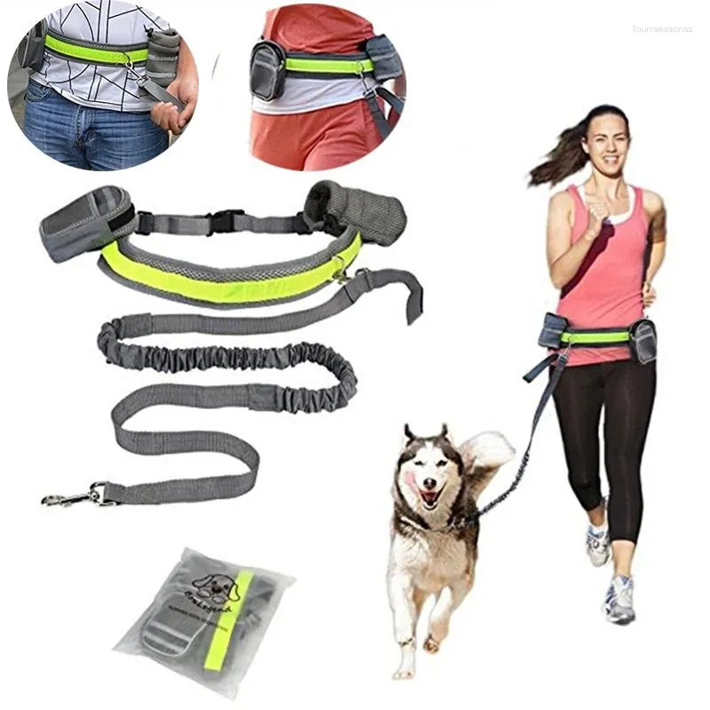 Hundhalsar Pet Elastic Belt Running Leash Set Hands Free Collar Accessories Valpsele för djur