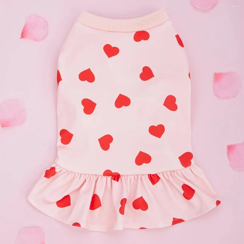 Hundkläder tröja klänning alla hjärtans dag kläder pullover casual stil bekväm rosa hjärtmönster semester flicka tyll kjol