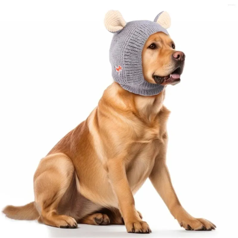 Appareils à chien Chapeaux en tricot