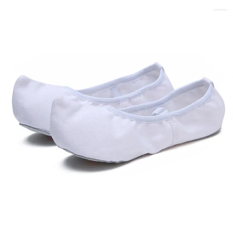 Chaussures de danse Ushine Quality Canvas Cow Hide Soles en cuir classique Ballet Indoor Practice Yoga Gogo Femme coréenne Homme
