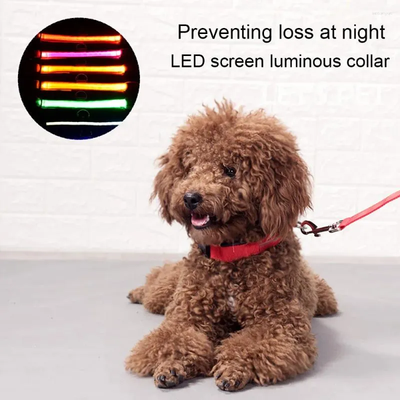 Hundhalsar LED Lysande krage Vattentät och justerbar skärband Flashing Safety Varning Accessories Pet Products