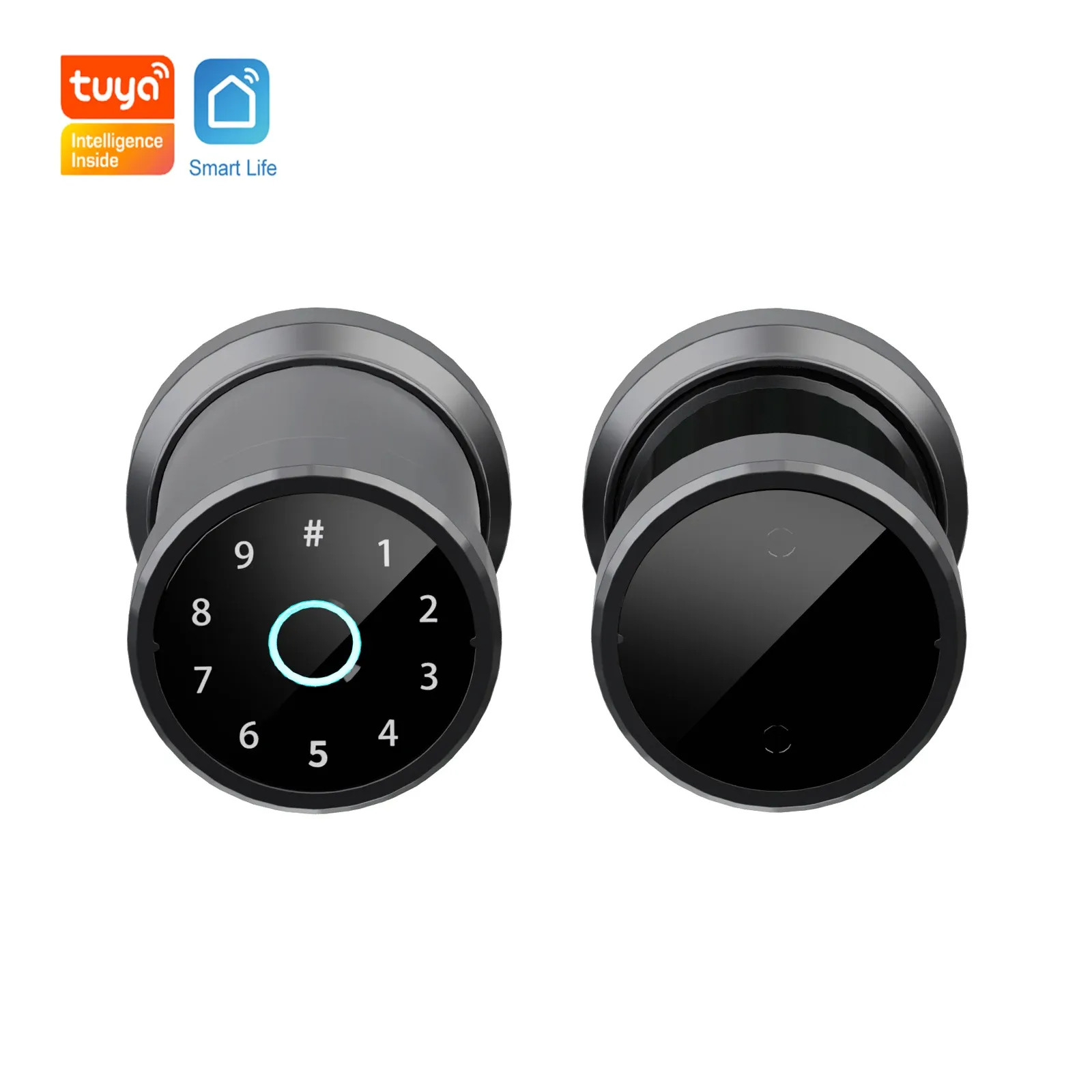 Lock Tuya Smart Lock BioMetric Indoor Hyffint Отпечаток шарика блокировки цифровой клавиши клавиши Bluetooth Commity Roock Lock для дома / Office