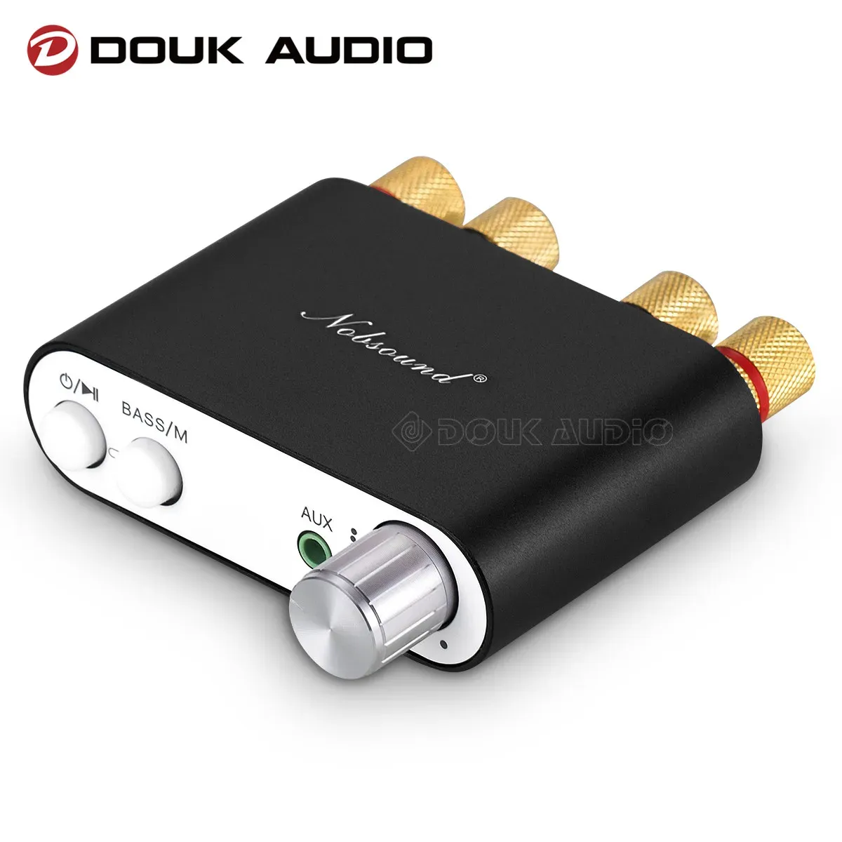 Amplificatore Douk Audio NS10G Mini Bluetooth 5.0 TPA3116 Digital Power Amplificatore Hifi Stereo Audio Affio Amplora Scheda audio USB 50W*2