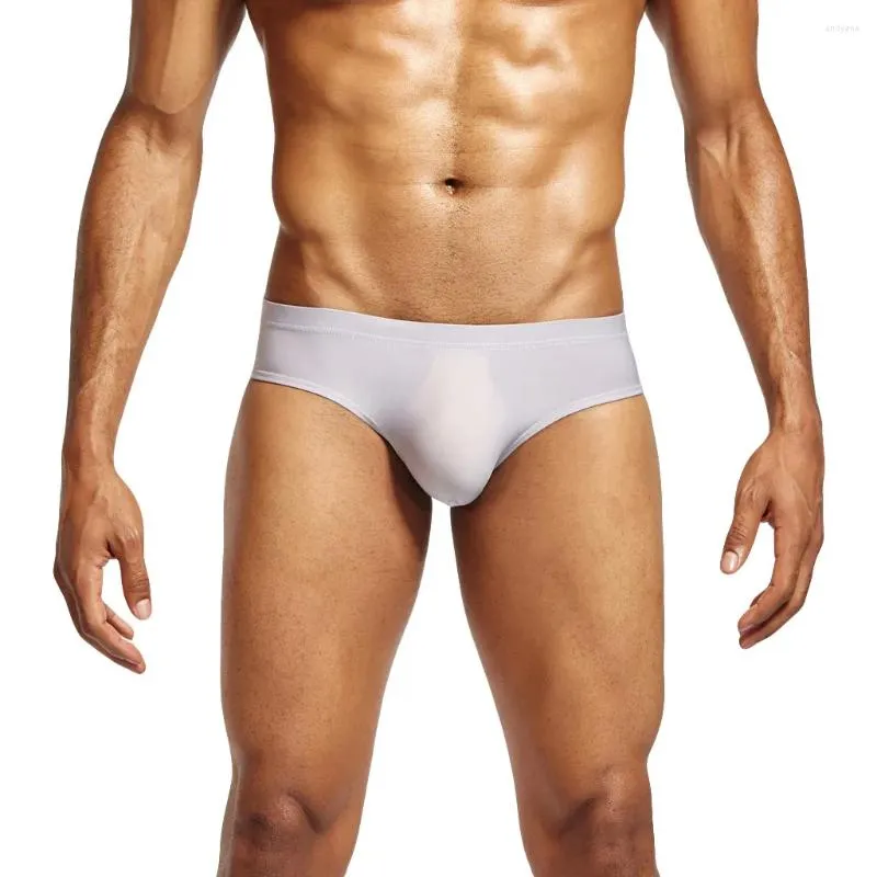 Underpants Men Sexy Underwear Fashion Fanhi