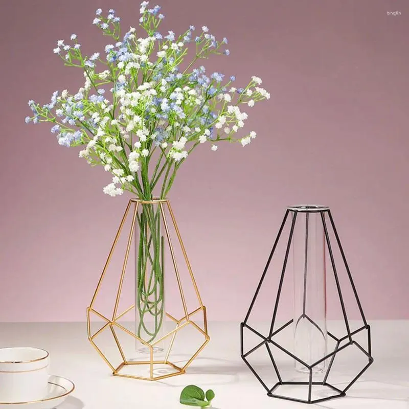 Vases Nordic Styles Home Decoration Desktop Ornament Geometric Line Frame Iron Art Vase Glass Test Tube Hydroponic Flower