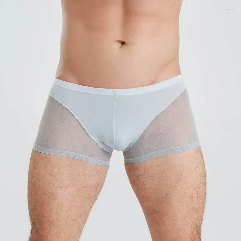 Onderbroek Sexy Sheer Mesh Underwear Men's Thin Boxer Shorts Transparante boksers Lage taille uitpuilende zak stammen Patchwork Lingerie Solid