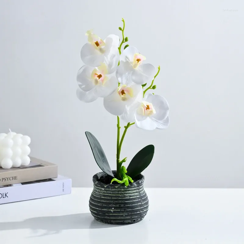 Fleurs décoratives 2024 créatives Two Forks Five Phalaenopsis Bonsai Fake Flower Simulation Pot Ciment Office Home Office Decoration