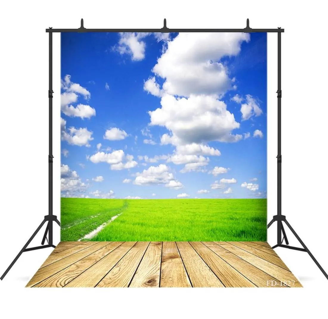 Blue Sky Grass Planchers en bois Portrait Portrait pour PO Shoot accessoires Child Baby Shower Board PO Booth200G9266908