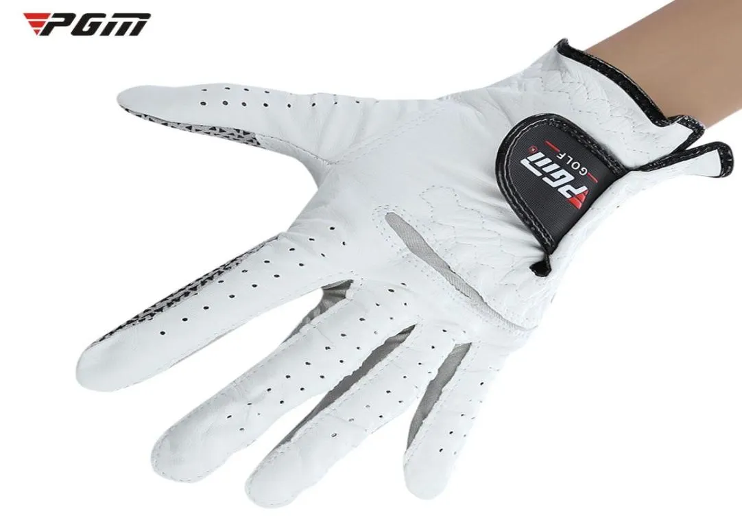 PGM GO LF LUVA GANTS DE GOLF vänster hand äkta läder fårskinn män golfhandskar mjuka andningsbara slipresistent glo ves golf sport9443134