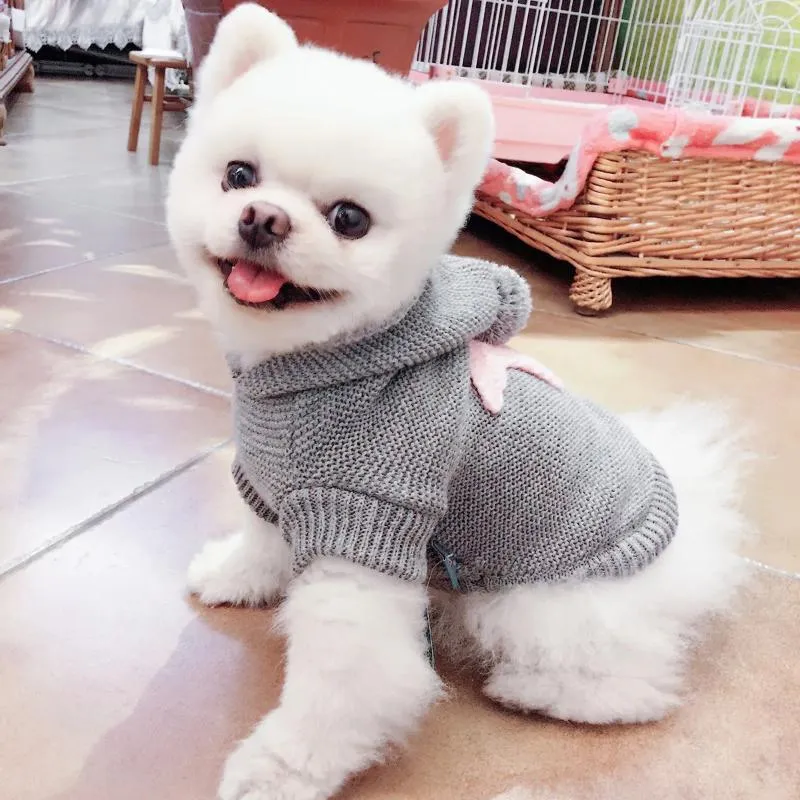 Dog Apparel Pet Cat Clothes Autumn And Winter Sweater Soft Comfortable Starfish Puppy Clothing