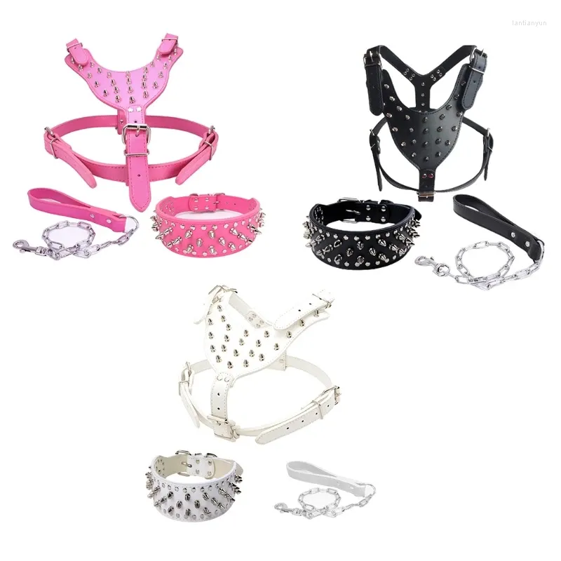 Colliers de chien coll blanc blanc engendré pour les petites filles chiens harnais laisse