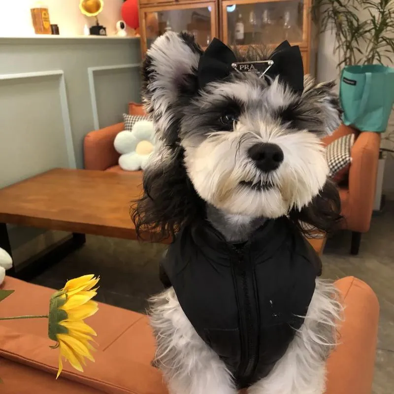 Köpek Giyim Yüzü Punch Pet Ceket Kış Sıcak Yağmur Arası Pamuk Giyim Anti Pamuk Giysileri Rüzgar Yoksul Yağmur Değişimi Köpek için Büyük Malzemeler