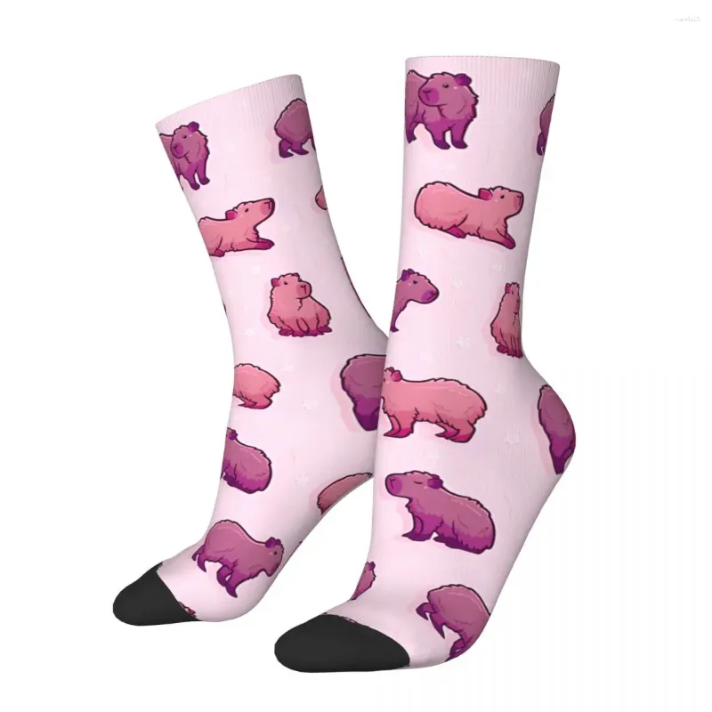 Calzini maschili hip hop vintage pazzo compressione unisex capybara harajuku senza soluzione di continuità