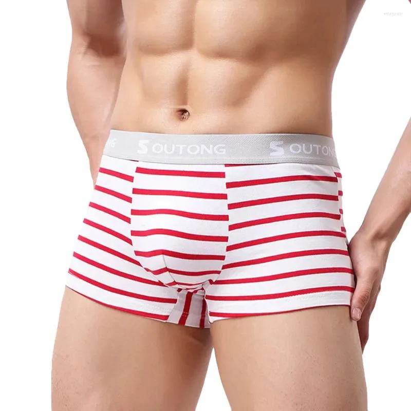 Sous-pants Arrivée Stripe Men Imprimé boxer respirant sexy confortable sous pantalon décontracté sous-vêtements en gros