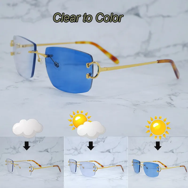 Photochromic Sunglasses 4 Season Glasses Carter Designer Sun Glasses Color Change Two Colors Lenses Frame Vintage Luxury Eyewear 828 Big Square