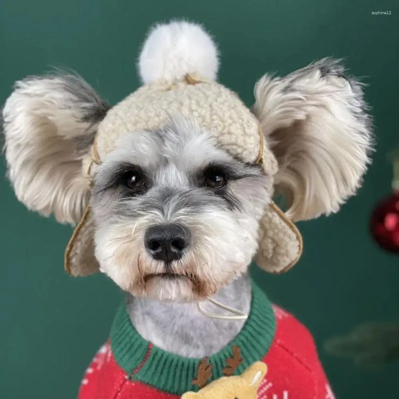 Appareil de chien chapeau pour animaux de compagnie pour l'hiver décoration en peluche élégante avec une texture douce ajustement confortable gardé au chaud charmant