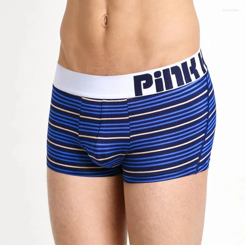 Mobras do pacote de 3 mix mix color tronco spandex boxer masculino de algodão curto homem calcinha calcinha de alta qualidade