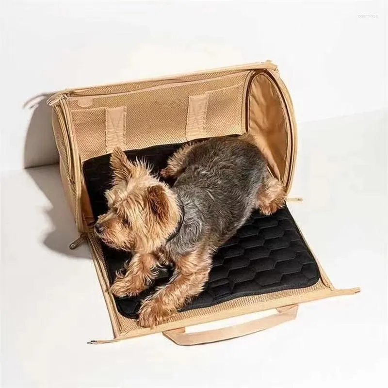 Kedi Taşıyıcılar ve Köpek Pet Çantası Büyük Kapasite Açık Mekan Taşınabilir Moda Günlük Çantalar Seyahat Taşıyıcı Mat İle