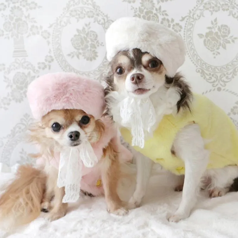 Accessori per animali domestici per cani autunno inverno beret desinger beret piccolo cappello di lana grazioso gatto forniture dolci chihuahua Yorkshire pomeranian