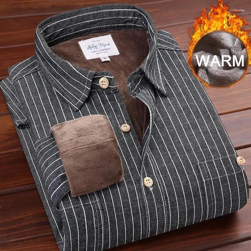 Camicie casual maschile 2024 uomini camicia invernale in denim a maniche lunghe cotone a pedaggio in cotone con fondo caldo a strisce calde