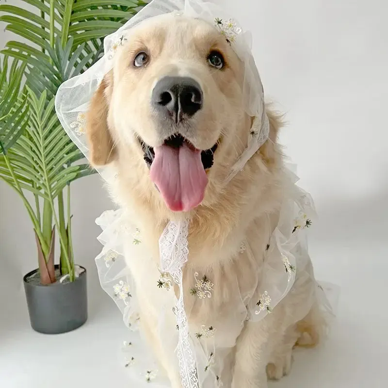 Big Dog Clothes Summer Large Dress Hat Poodle Schnauzer Corgi - Main Image