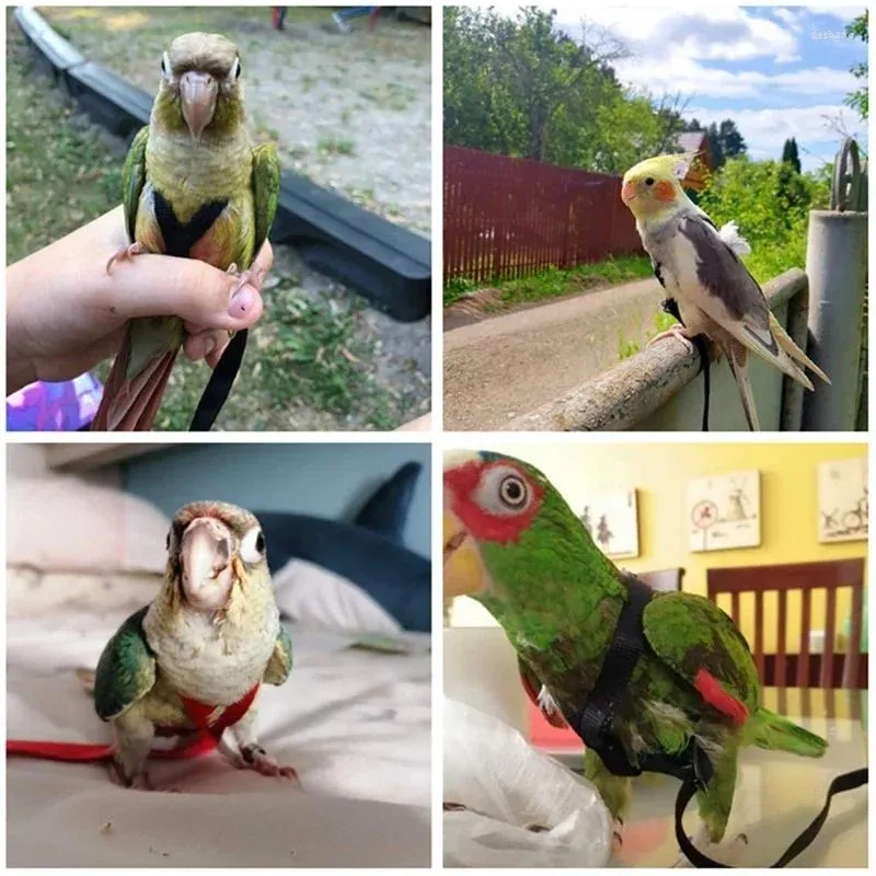 Other Bird Supplies 1.2m/1.3m 4-color Parrot Harness Pet Fur Outdoor Flight Traction Belt Strap Adjustable Anti Bite Training Rope