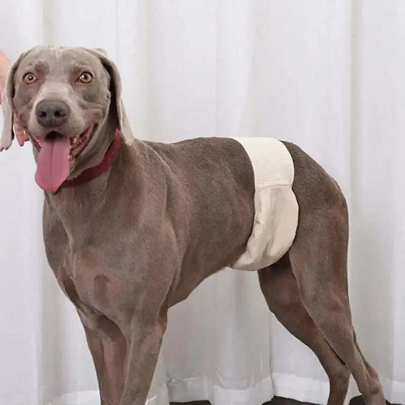 Vêtements de chien pour animaux de compagnie de compagnie de pauvreté résistante physiologique très absorbante confortable infection des couches féminines