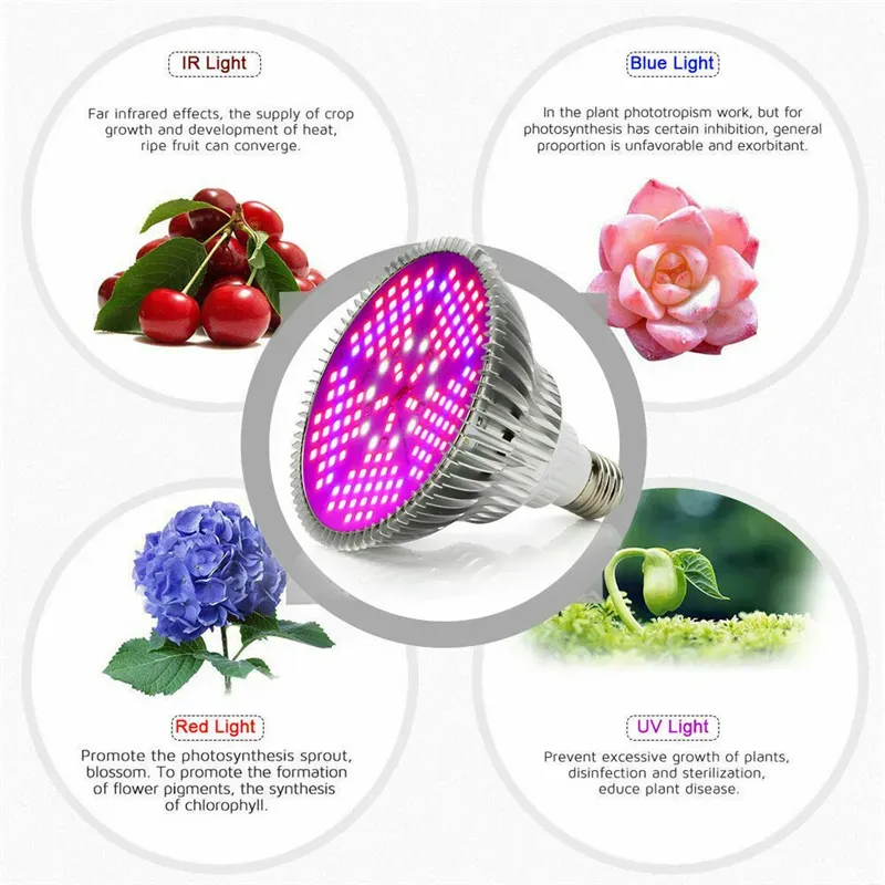 E27 Led Grow Light 6W 10W 30W 50W 80W full spectrum LEDs lights 85-265V LED Bulbs For Indoor Garden Plants Flower