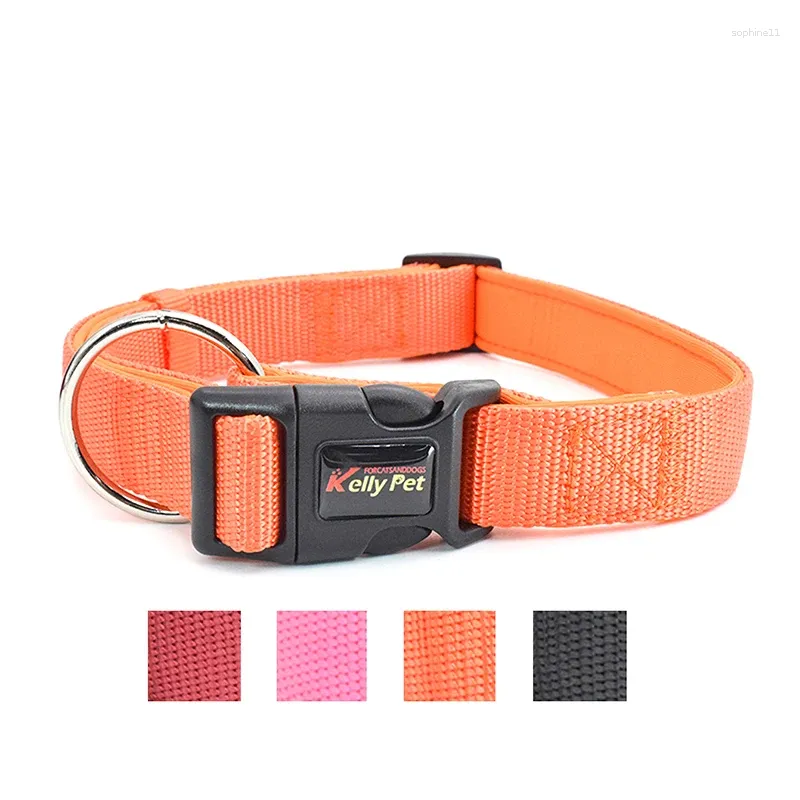 Colliers pour chiens matériau de plongée en nylon confortable et entraînement doux collier de joint de joint petit chiens moyens de taille moyenne