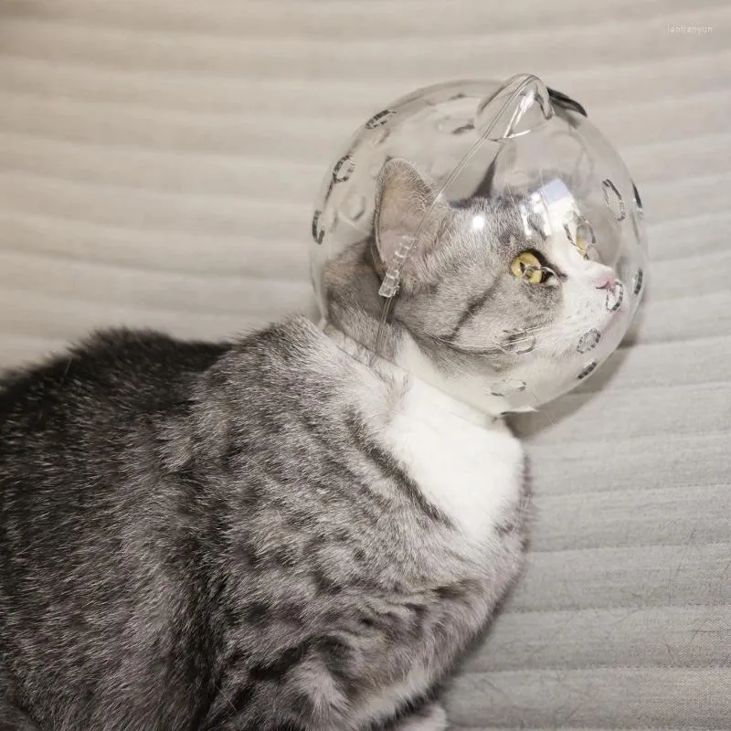 Cat dragers Q1QC katten snuiten helmen heldere kappen ademende anti-bijbite verzorgingsmasker voor huisdiersnijmen geschikte kleine honden