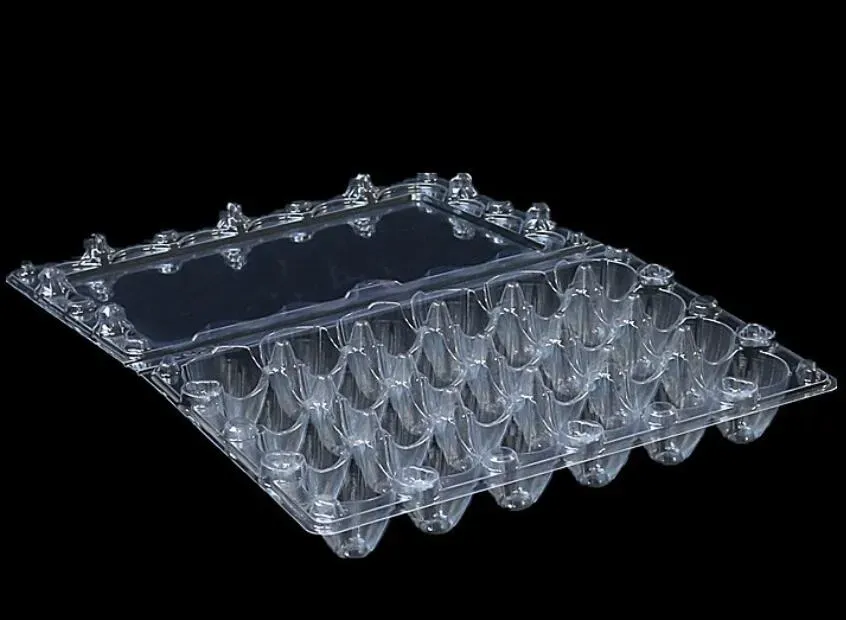 24 Holes Quail Eggs Container Plastic Boxes Clear Eggs Packing Storage Box Tray Retail Packing SL40