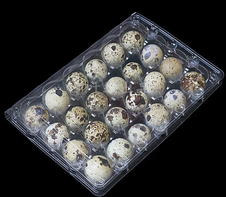 24 Holes Quail Eggs Container Plastic Boxes Clear Eggs Packing Storage Box Tray Retail Packing SL40