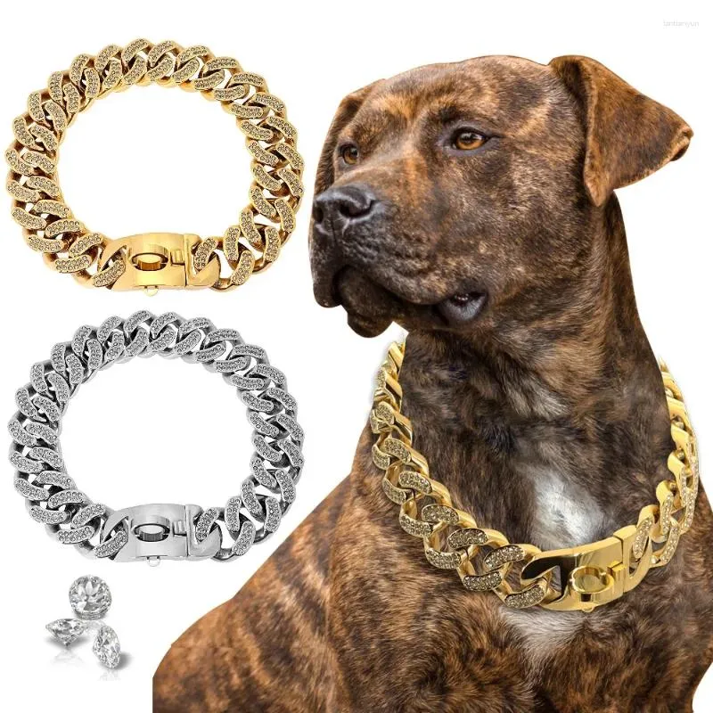 Shop gold and diamond dog collar Online Sale