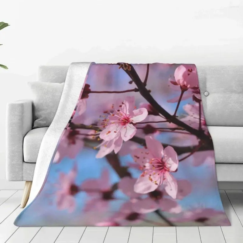 Dekens lente seizoen bloemen zachte fleece gooi deken warme en gezellige comfortabele microvezel voor bank sofa bed 40 "x30"