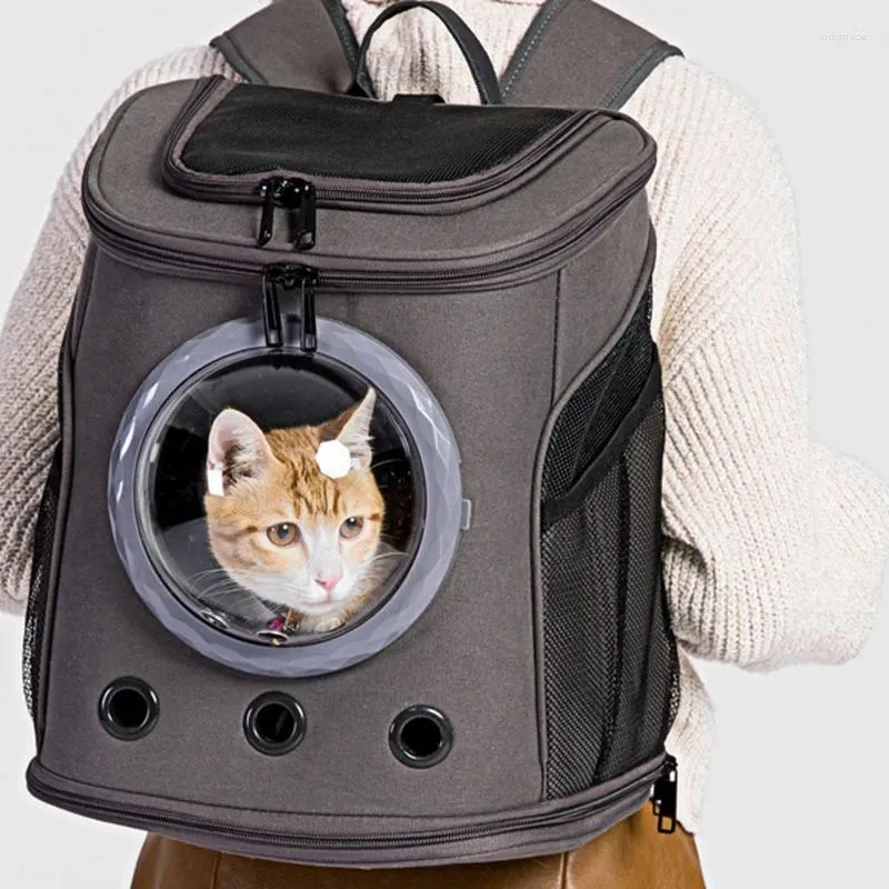 Transporteurs de chats voyagez transporteur de chaton transparent petit sac à dos poussette transport adorant para gato accessoires