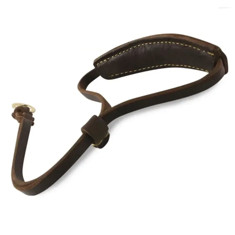 Hundhalsar Mjuka vadderade äkta läder Martingale -krage för hundar Justerbar No Pull Training Slip Chain Real Pet