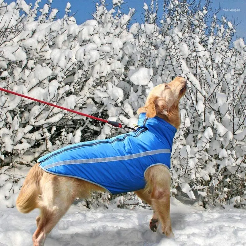 Hundebekleidung warmes Vlies Wintermantel Jacke wasserdichte winddichte Kleidung reflektierender Haustier -Snowsuan für mittelgroße Rassen Kleidung