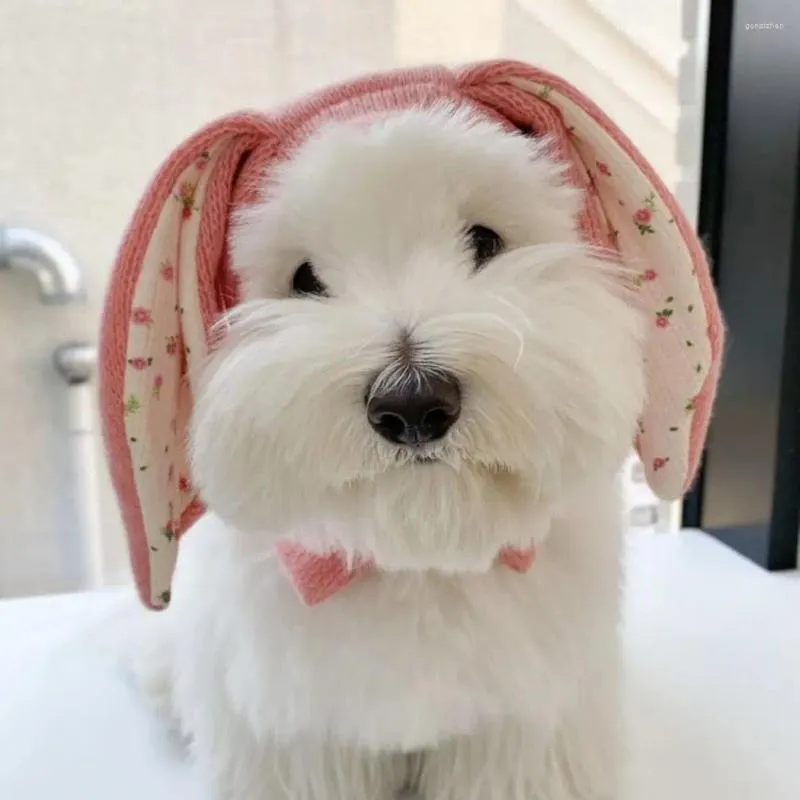Appareils pour chiens hiver chapeau animal de compagnie confortable en tricot avec des oreilles Gardez au chaud automne cet accessoire de po ornemental pour les chats
