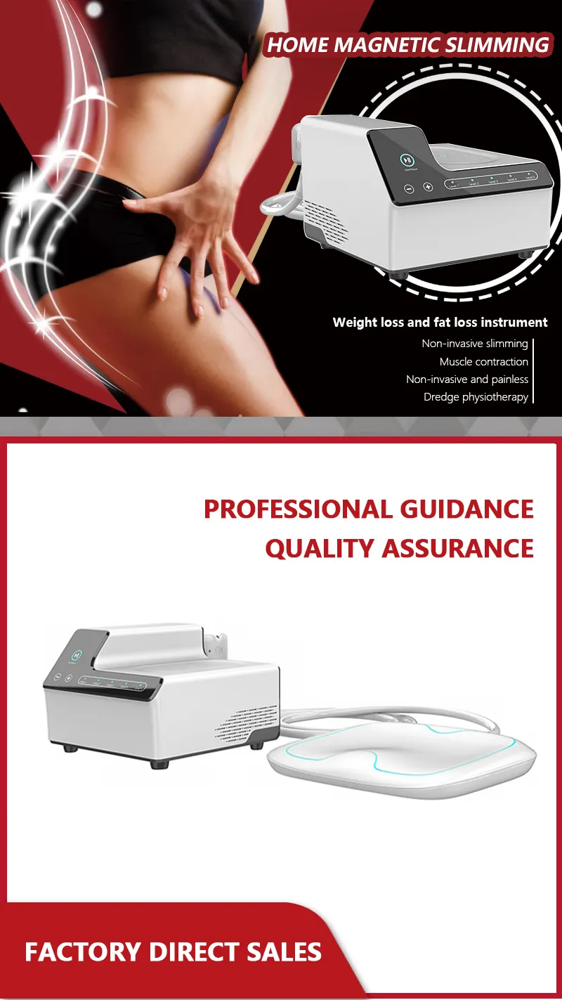 2024 Home use Skin Tightening Pelvic Floor Muscle Training Device Electric Muscle Stimulator Ems Floor Muscle Repair Apparatus