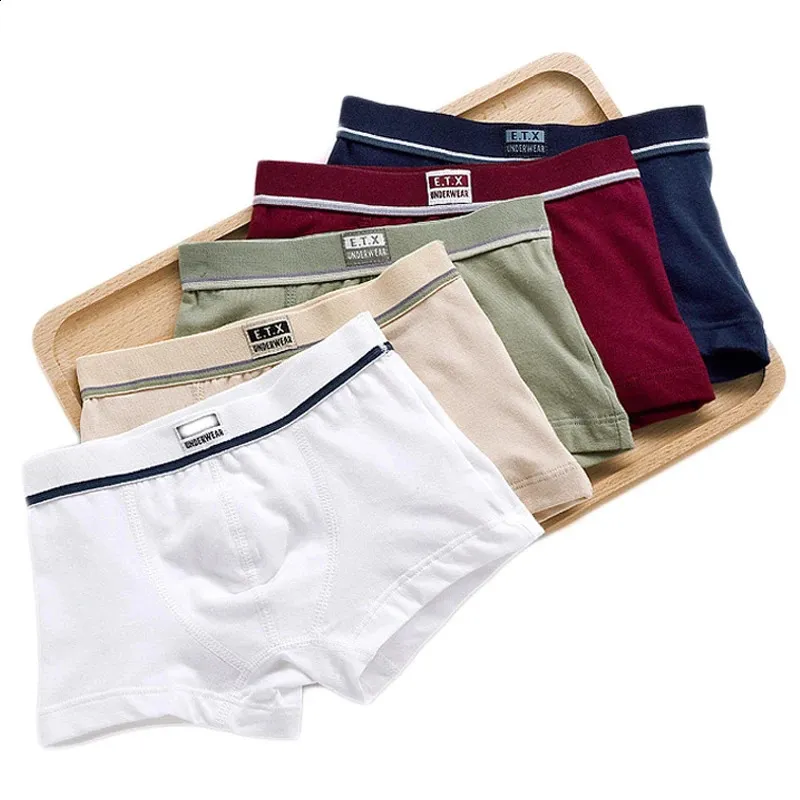 Tasche Da Uomo Intimo Slip Antifurto Boxer Mutandine Elastico Senza Cucure Mutandine Da Uomo In Cotone U-Bump Pantaloncini Maschili Slip Abbigliamento Quotidiano - Foto 9