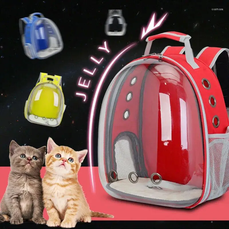 Transportadoras de gatos portátil transparente transparente portador de animais de estimação respirável Parrot Dog Bird Backpack Kitten carregando gaiolas