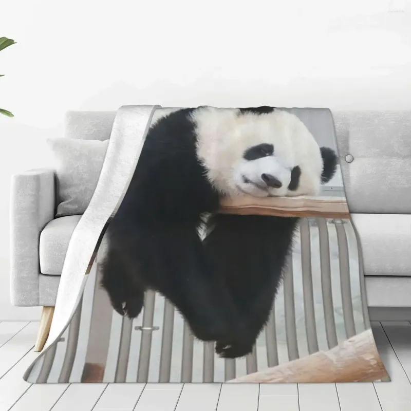 Coperte Fubao Panda Fu Bao Coperta animale Lightweight DECORATIVE LETTO DECORATIVO PER ESILTH CREA CHE A DECO